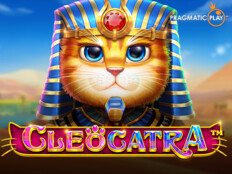 Casino bedava slot oyunları61